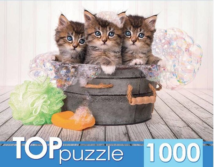 Пазл TOP Puzzle 1000 деталей: Три голубоглазых котёнка