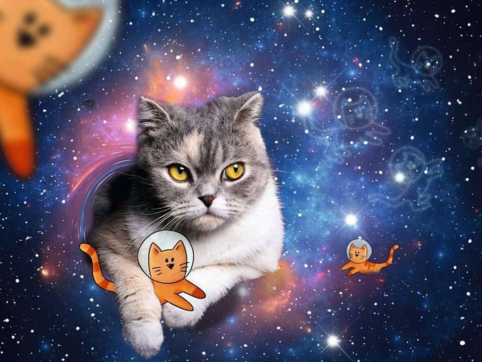 Пазл Ravensburger 1500 деталей: Кошки в космосе