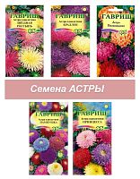 Клумба Астры