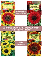 Семена, набор семян Подсолнечник - 5