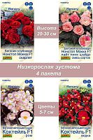 Семена комнатных растений Бегония 3