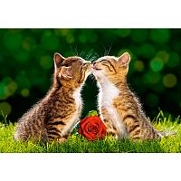 Пазл 500 деталей Castorland Два котенка