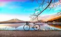 Раздел анонс: Пазл Pintoo 1000 деталей: Велосипеды. На берегу озера (Н2649)