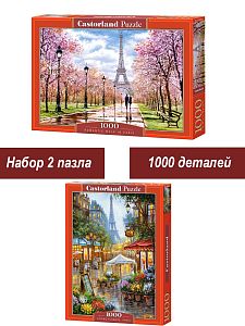 Набор Castorland 1000 деталей: Цветущий Париж, 2 шт