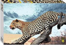 Пазл Step 2000 деталей: Леопард в дикой природе