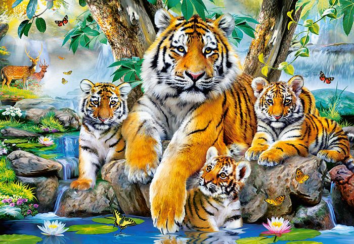 Пазл Castorland 1000 деталей: Семья тигров у ручья
