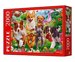 Пазл Рыжий Кот 2000 деталей: Бегущие щенки