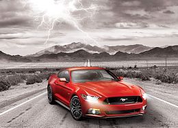 Пазл Eurographics 1000 деталей: Ford Mustang 215