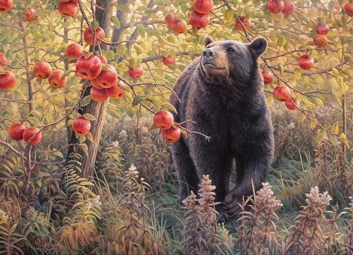 Пазл Cobble Hill 500 деталей: Медведь и яблоки