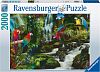 Пазл Ravensburger 2000 деталей: Разноцветные попугаи в джунглях