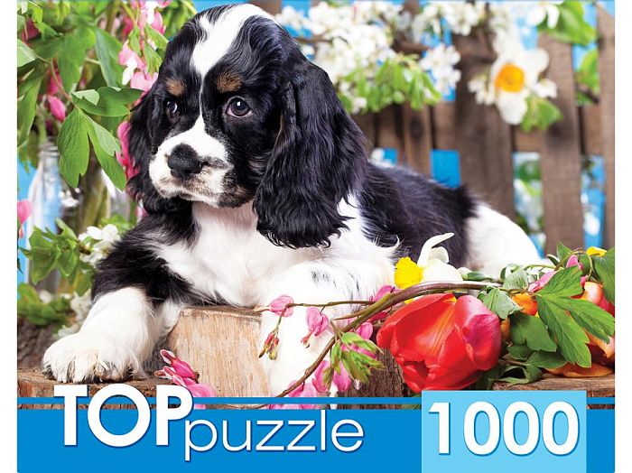 Пазл TOP Puzzle 1000 деталей: Щенок спаниеля в саду