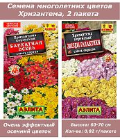 Набор семян, семена многолетних цветов Хризантема
