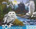 Раздел анонс: Пазл TOP Puzzle 1000 деталей: Магическая сова и замок (Ф1000-9941)