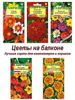 Семена, набор семян- Цветы на балконе - 5, 5 пакетов, бархатцы, георгина,портулак, настурция,