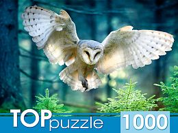 Пазл TOP Puzzle 1000 деталей: Полет совы