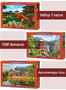 Набор Castorland 1000 деталей: Азия, 3 шт