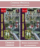 Семена комнатных цветов Фейхоа, 2 шт