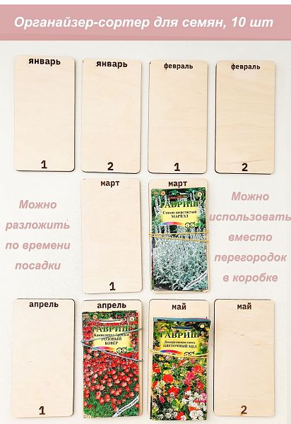 Сортер Фанера штрих