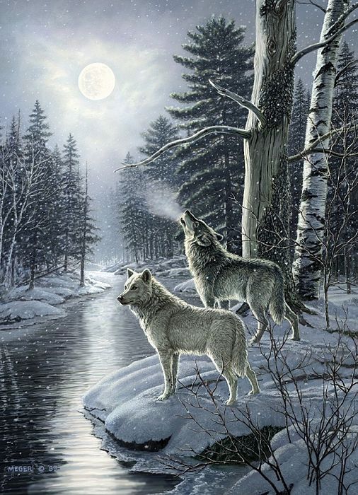 Пазл Cobble Hill 1000 деталей: Волки в полнолуние