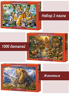 Набор Castorland 1000 деталей: Дикие кошки, 3 шт