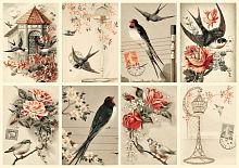 Пазл Nova 1000 деталей: Коллаж птиц и цветов