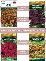 Колеус 4 шт