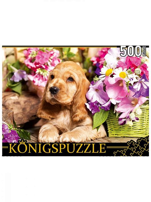 Пазл Konigspuzzle 500 деталей: Щенок Английского кокер-спаниеля