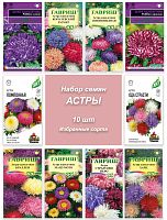 Астры 10 шт