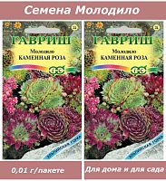 Семена, набор семян комнатных цветов Молодило (суккуленты)