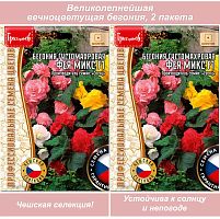 Семена цветов бегония вечноцветущая