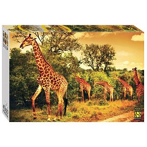 Пазл Step puzzle 4000 деталей: Южноафриканские жирафы