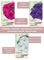 Семена цветов для сада Петуния Фалкон