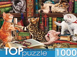 Пазл TOP Puzzle 1000 деталей: Котята в библиотеке