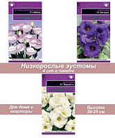 Эустома низкорослая 2