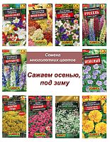 Многолетники Осень №1