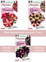 Петуния Романтика