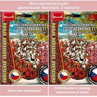 Семена цветов бегония ампельная