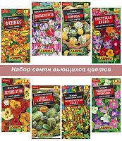 Семена вьющихся однолетних цветов11