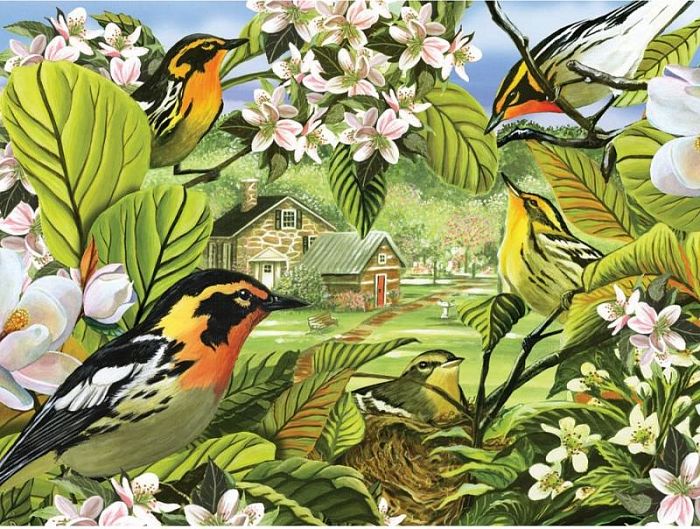 Пазл Cobble Hill 500 деталей: Лесные певчие птицы
