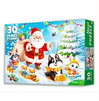 Пазл макси Рыжий Кот 30 деталей: Снежная горка
