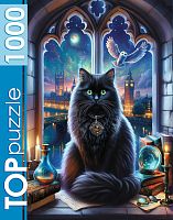 Пазл TOP Puzzle 1000 деталей: Магический кот