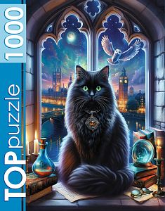 Пазл TOP Puzzle 1000 деталей: Магический кот