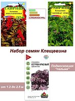 Набор семян, семена однолетних цветов Клещевина