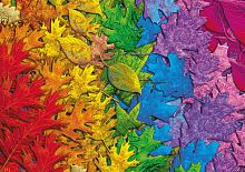 Пазл Schmidt 1500 деталей: Разноцветные листья