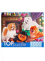 Пазл TOP Puzzle 1000 деталей: Игривые шпицы