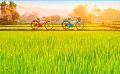 Раздел анонс: Пазл Pintoo 1000 деталей: Велосипеды. Залитые солнцем зеленые поля (H2648)
