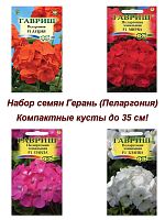 Семена, набор семян комнатные цветы Герань (Пеларгония), 4 штуки