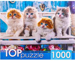 Пазл TOP Puzzle 1000 деталей: Котята скоттиш фолд