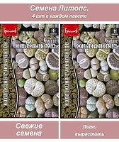 Семена комнатных цветов Литопс (живые камни) ИПГ