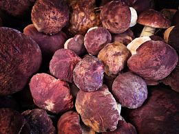 Пазл Алма деревянный 500 деталей. Карельская сказка. Добыча грибника